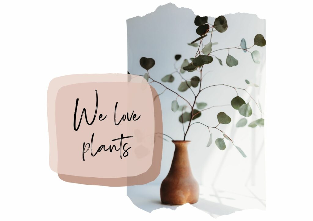 Smukke Grønne Planter Dit Hjem – 10 Stueplanter Er At Holde - Love The Look